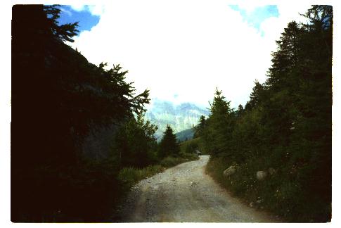 SA-1997-11.jpg (19999 Byte)